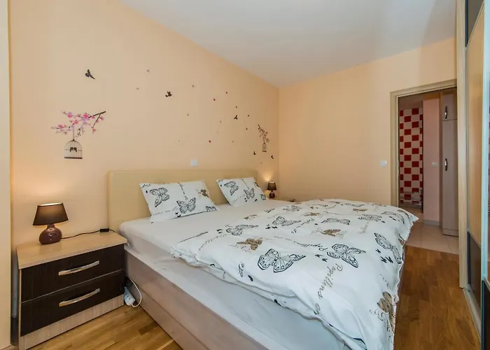 International Radic Apartman