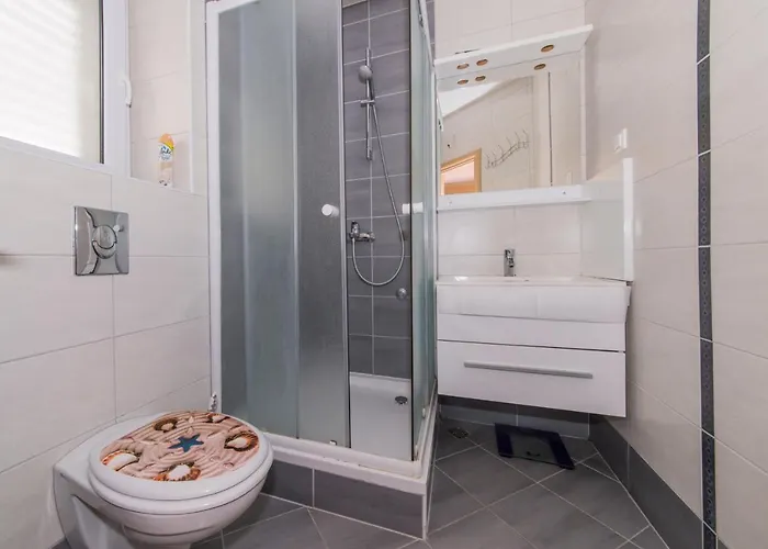 International Radic *